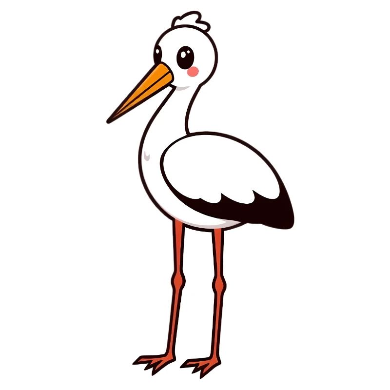 Cicogna
