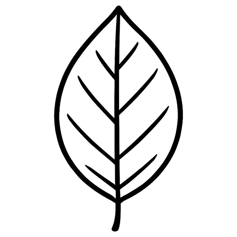 Conception à lignes de feuilles noires