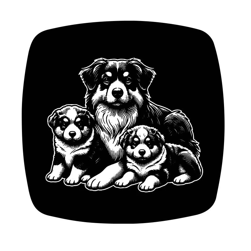 Australian Sheperd Mama mit Welpen