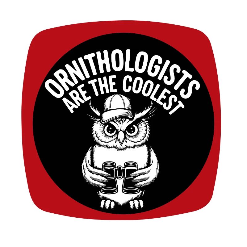 Ornithologen sind die Coolsten lustige Eule