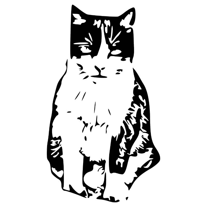 Chat noir