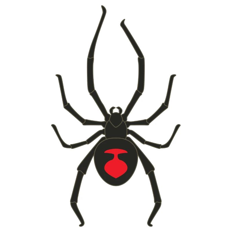 Black widow