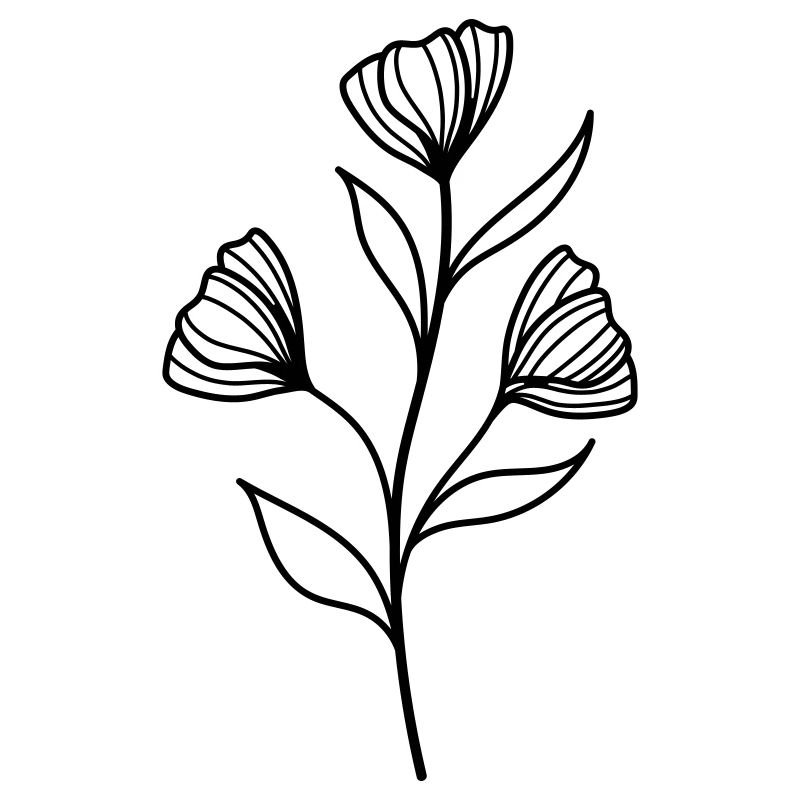 simple wildflower