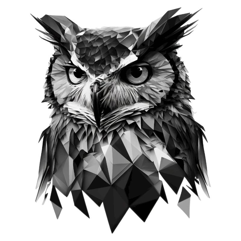 Polygon-Eule in Schwarz-Weiß – Vogelkunst