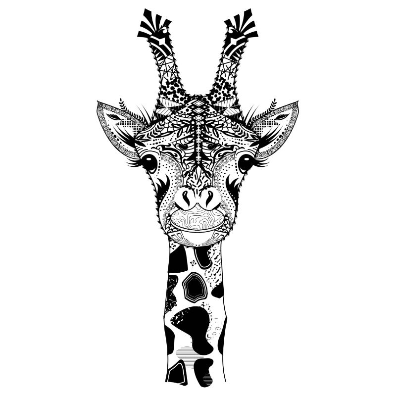 A head of a giraffe