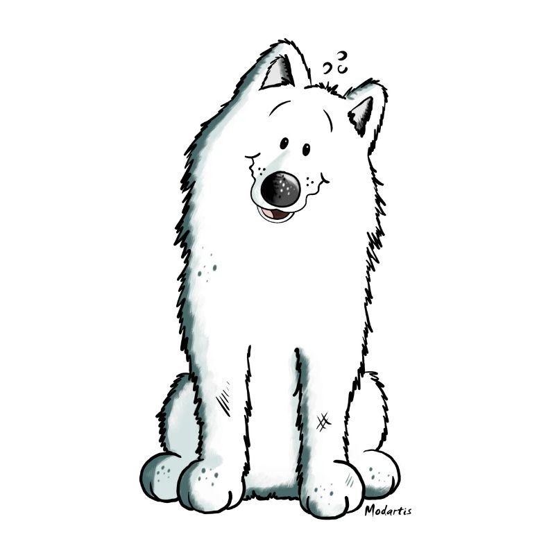 Cute Samoyed