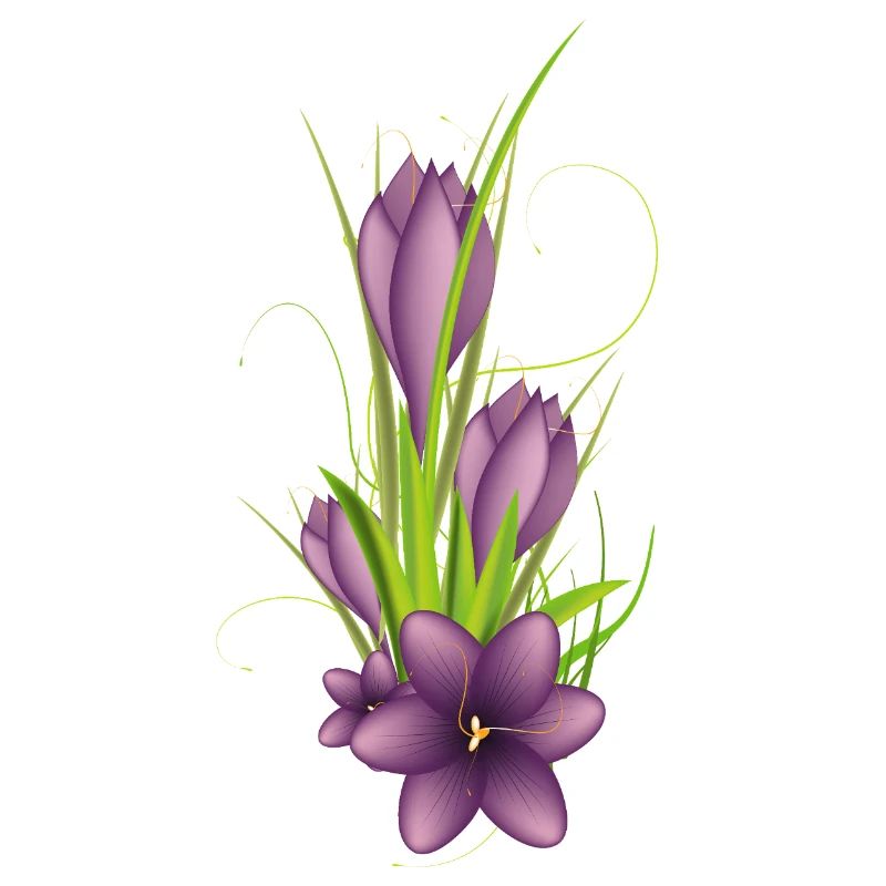 Delicate purple crocuses in elegant illustration