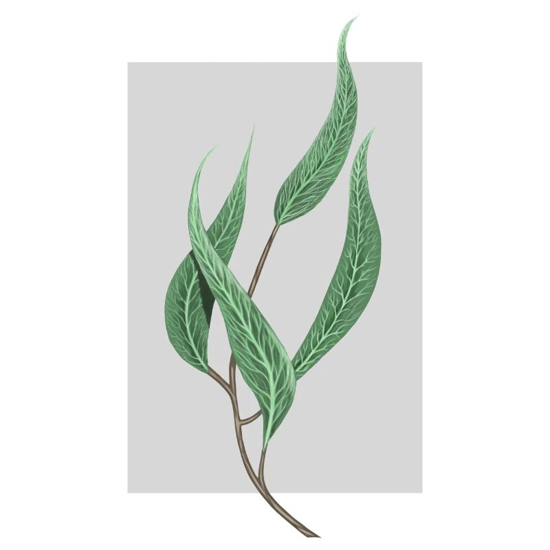 planter