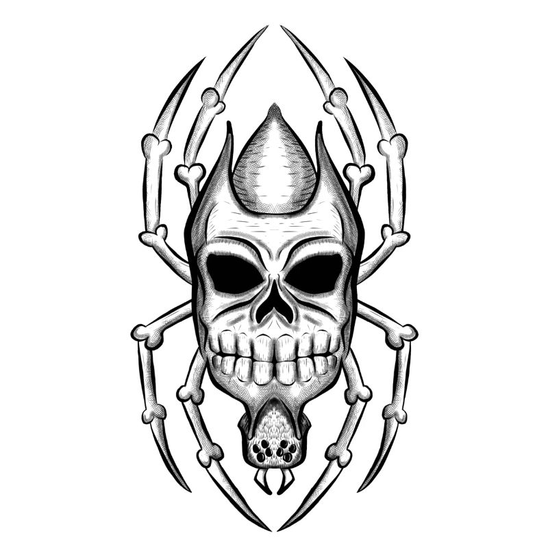 Spider Skull