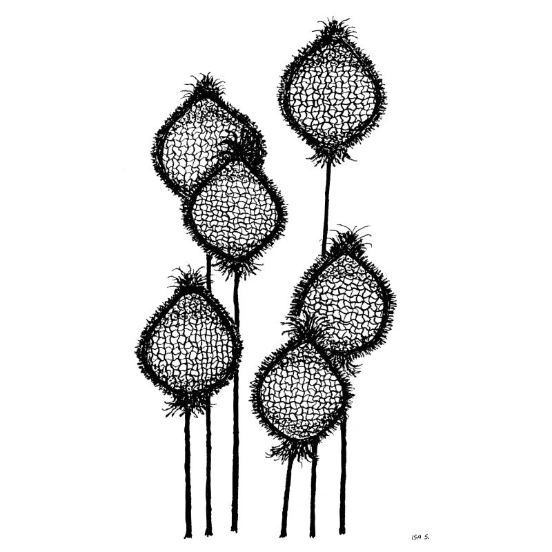 Mohnknospen oder Ananas am Stiel? Schwarz abstrakt