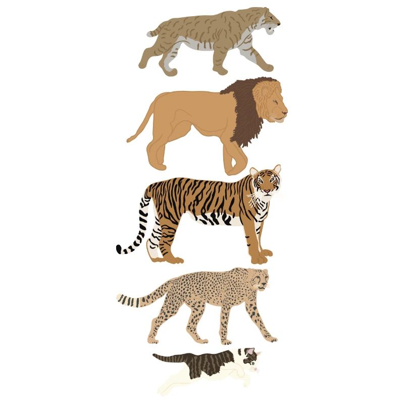 Evolution Cat Lion Cheetah Vertical multicolored