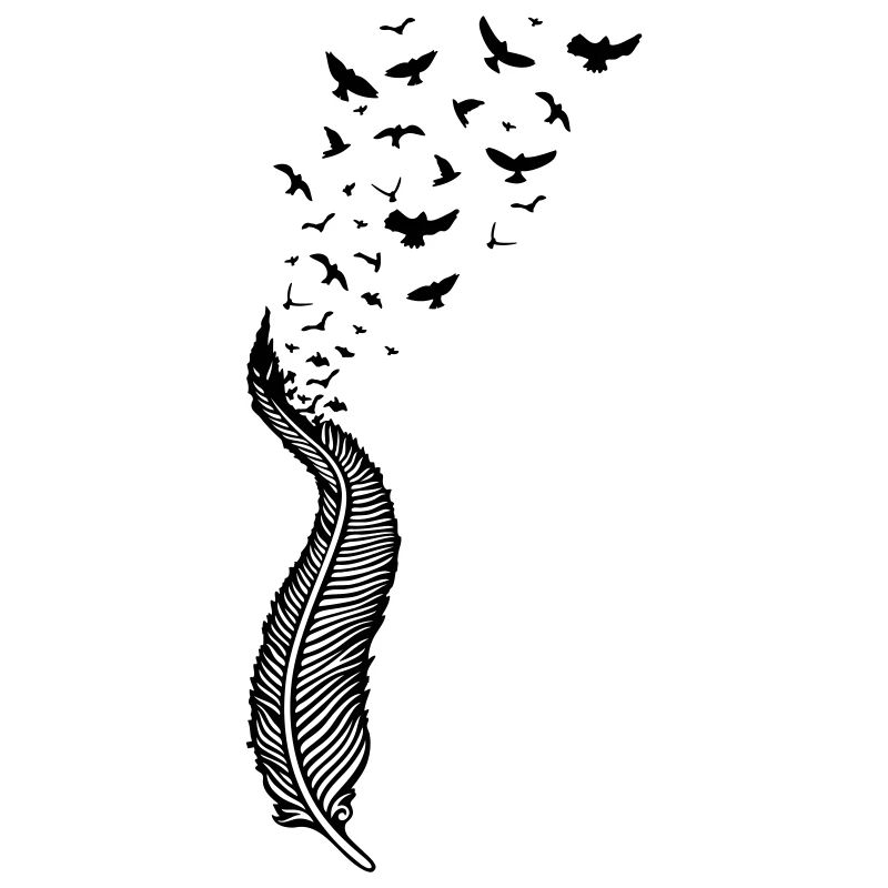 Large feather from which many birds fly