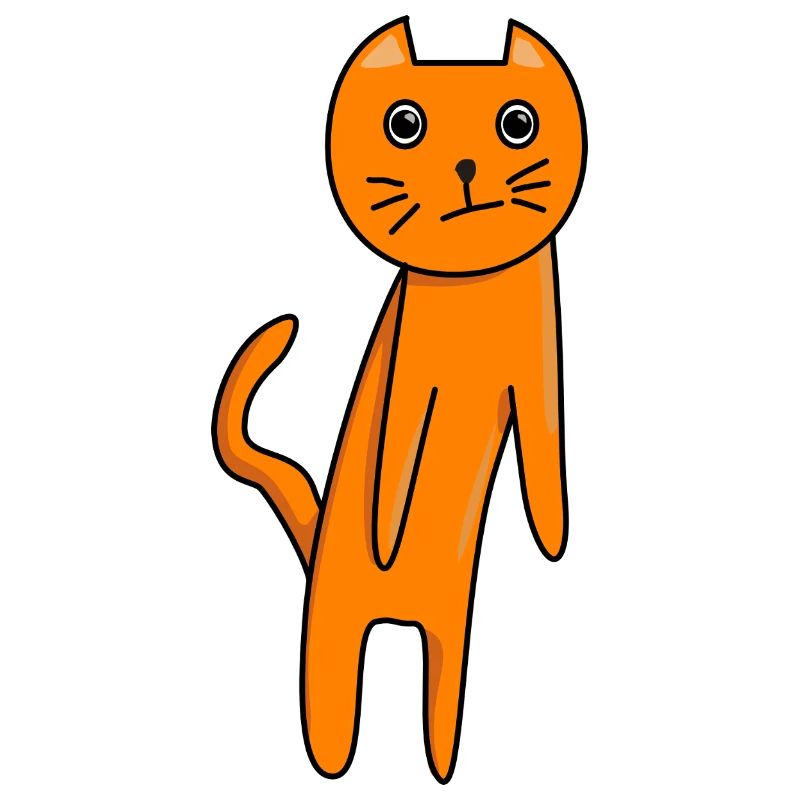 Confused Cat