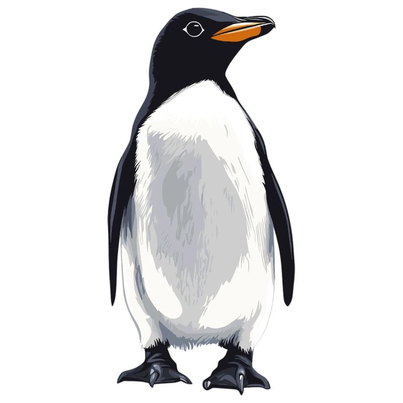 Pinguine Pinguin