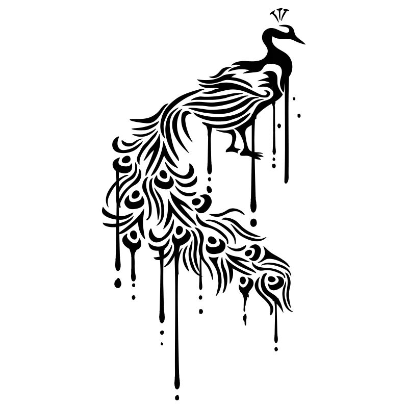 graffiti drops feathers colorful decorative bird silho