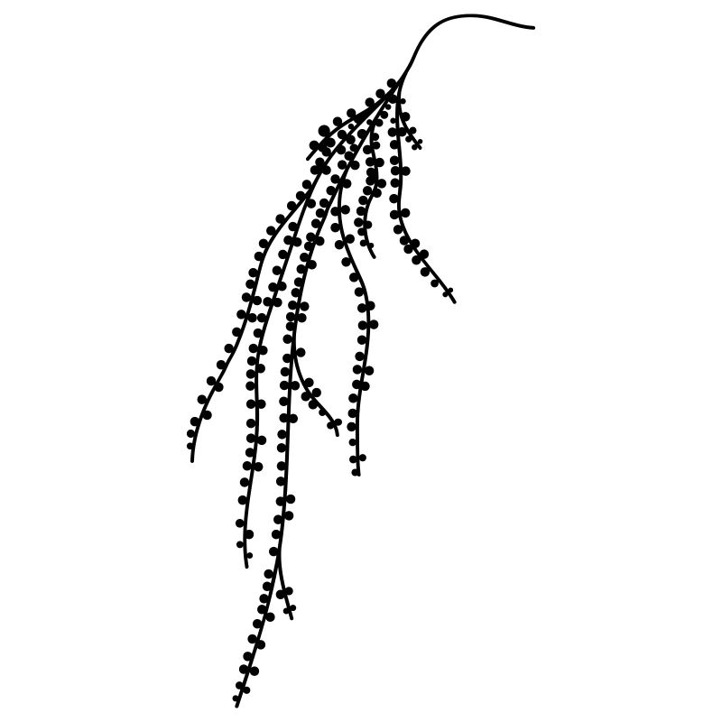 Hanging plant 2