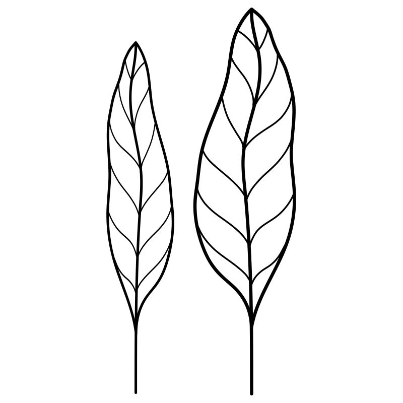 Feuille