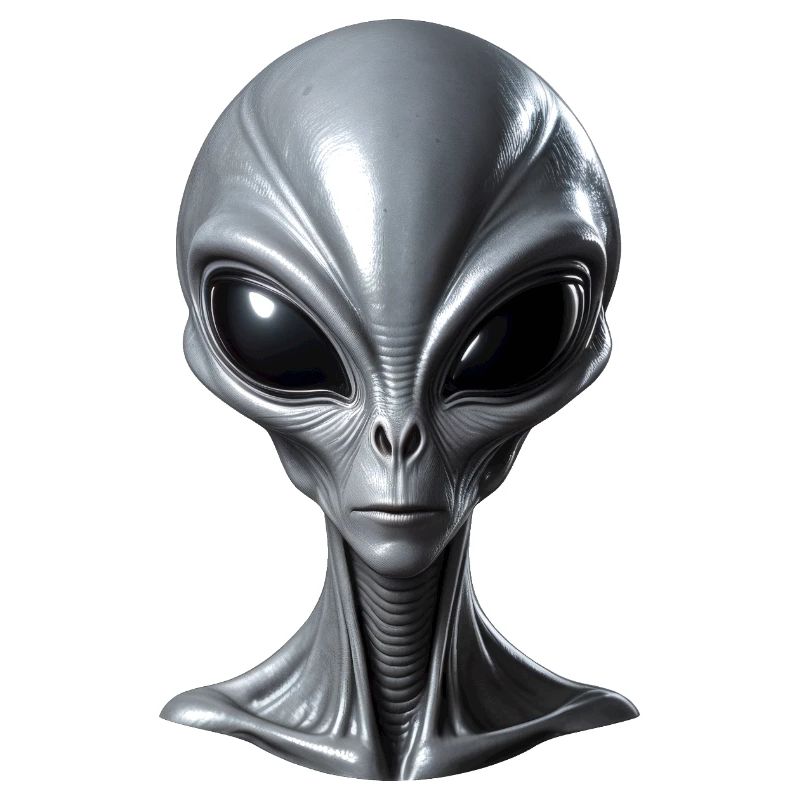 Véritable extraterrestre gris extraterrestre
