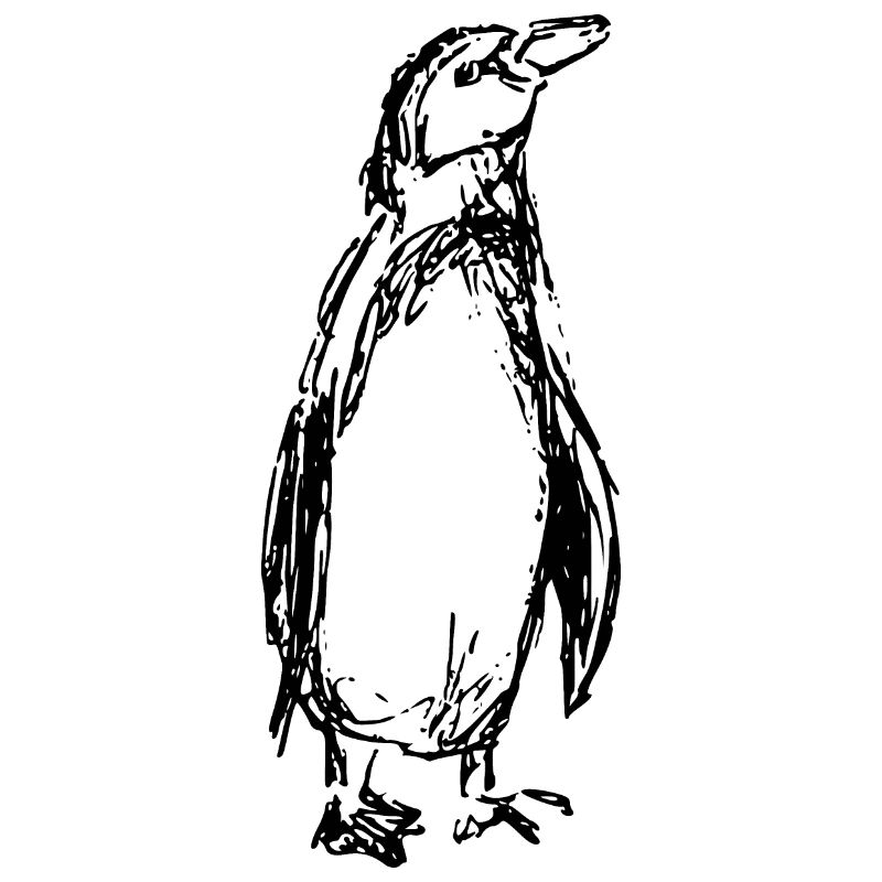 Pinguin