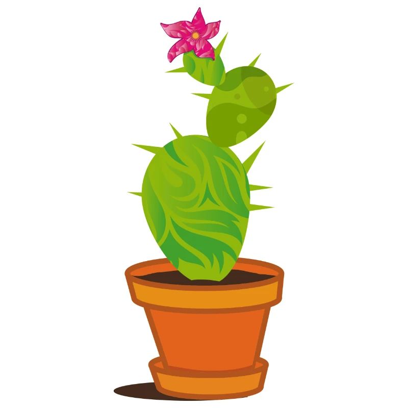 Un cactus avec une fleur