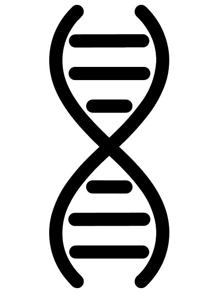 DNA DNA double helix
