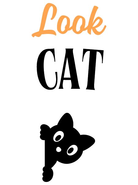 Look Cat