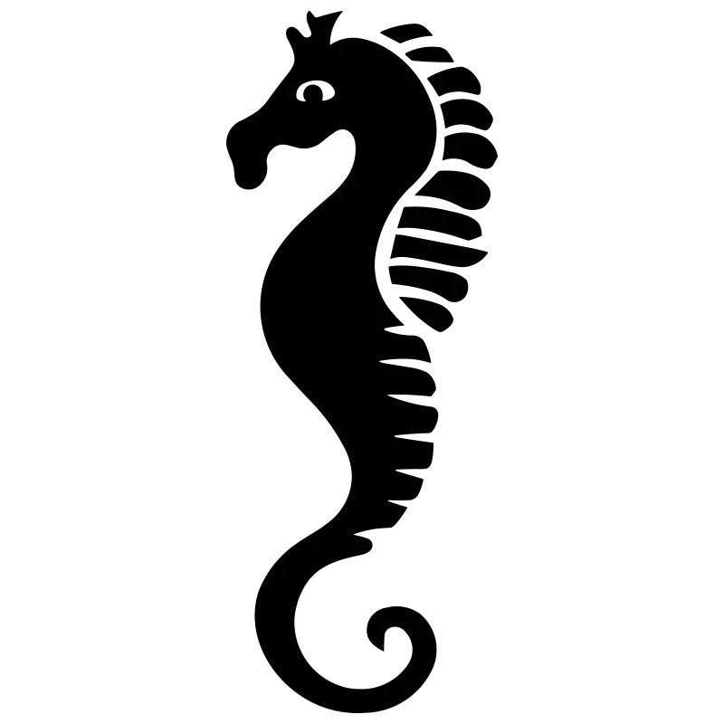 Hippocampe