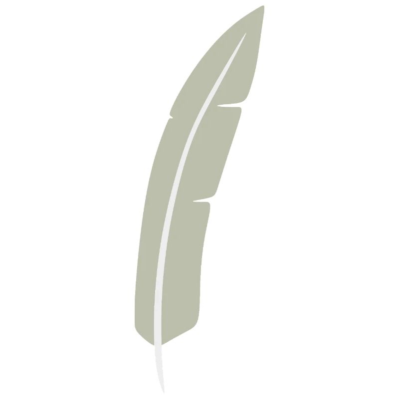 Feather Arc Minimalist Print