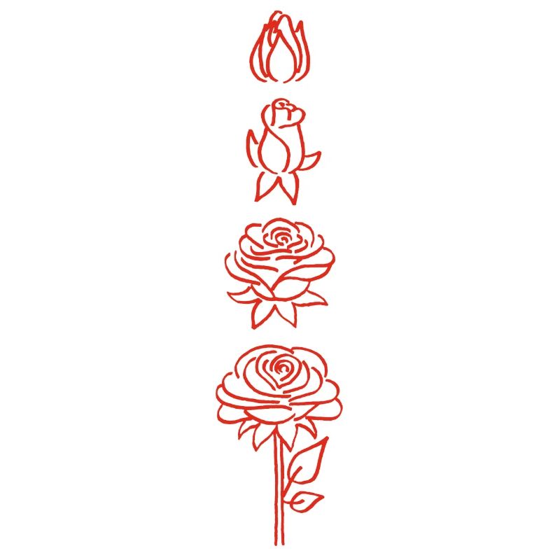 éclosion d'une fleur rouge