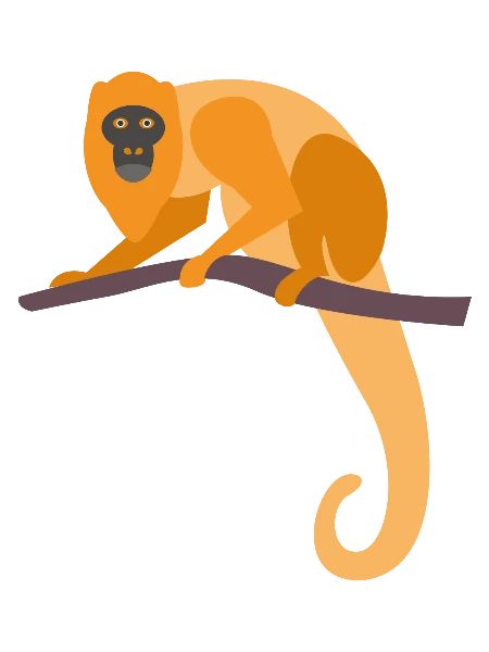 Wildtiere