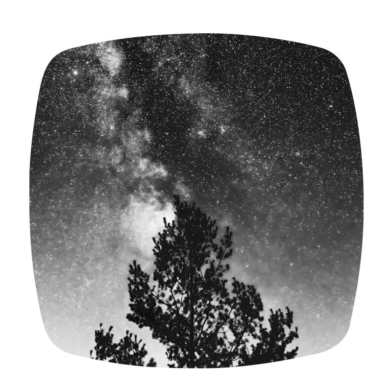 Der Kosmische Baum