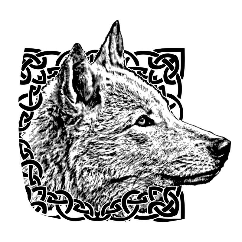 Wolf grey