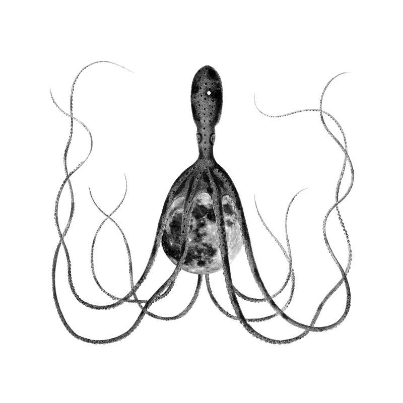 Octopus, Octopus with Moon, Surreal Vintage Artwork