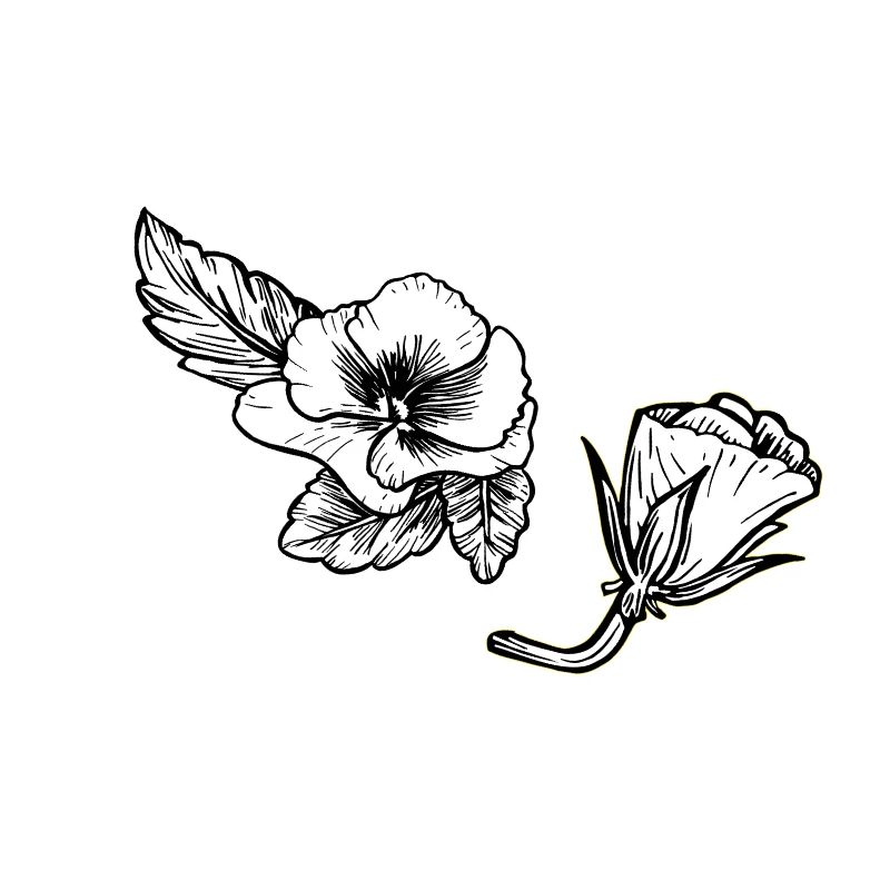 Pansy