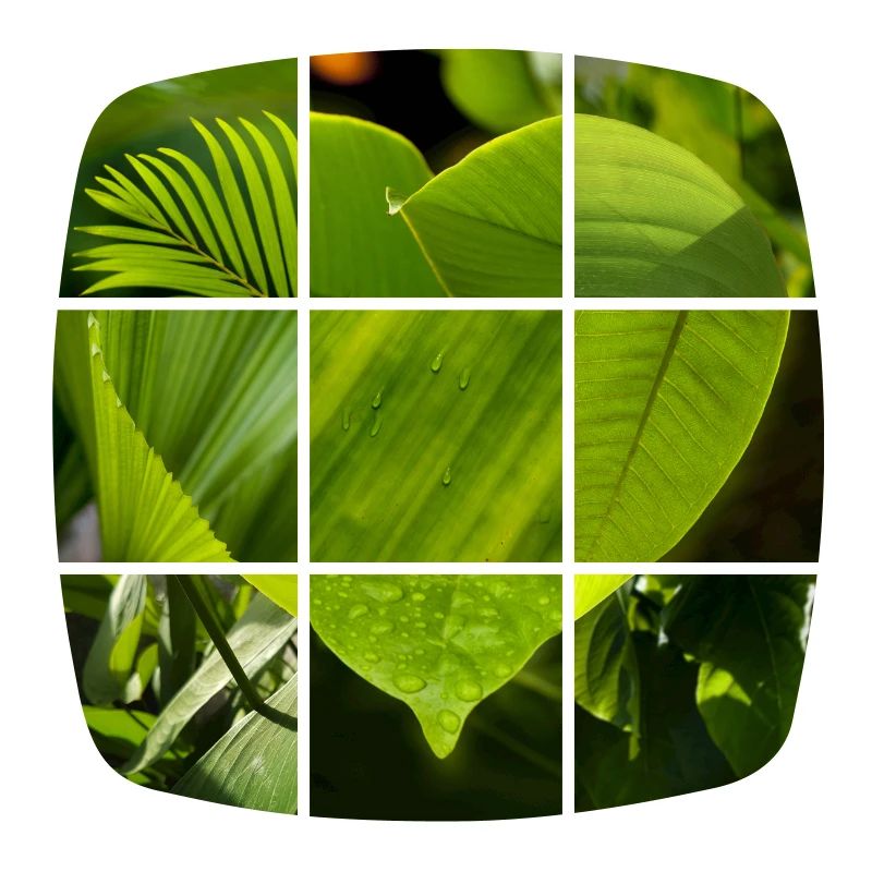 Green Heart