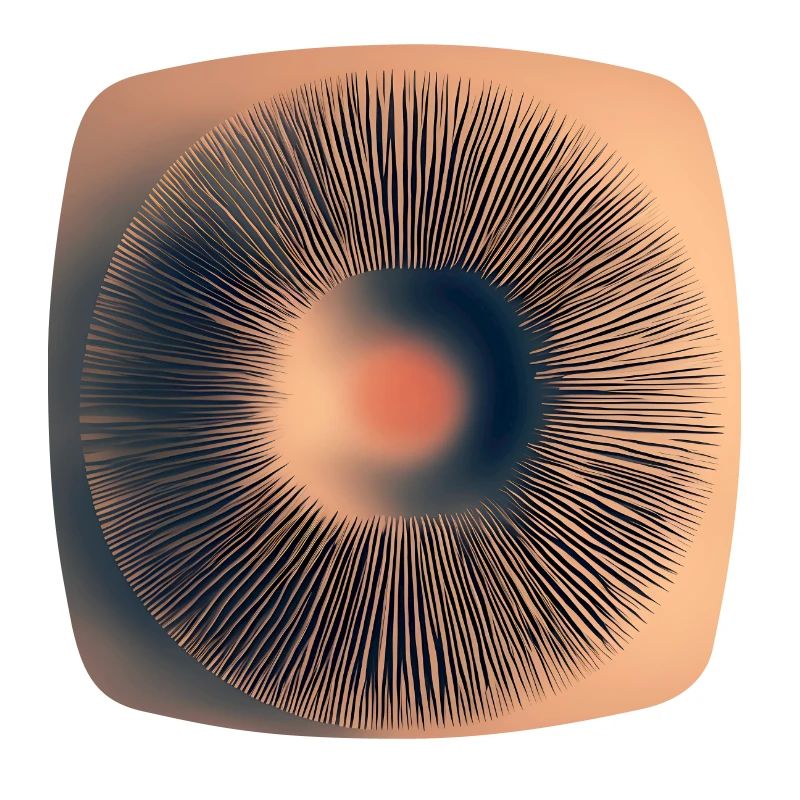 Abstract Shape, Iris, Structure, Round,