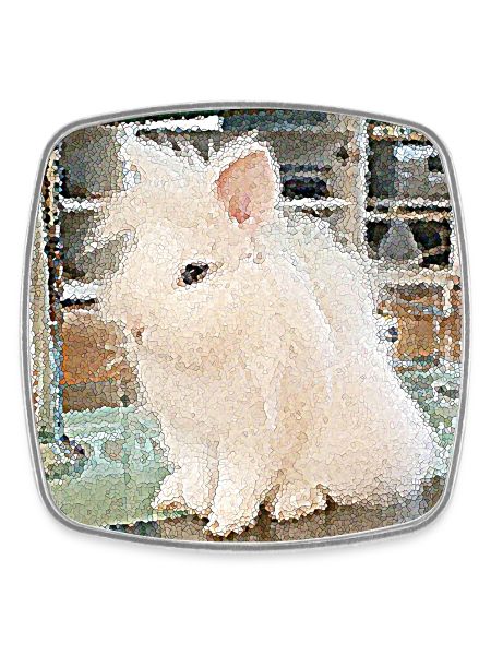 Un lapin adorable