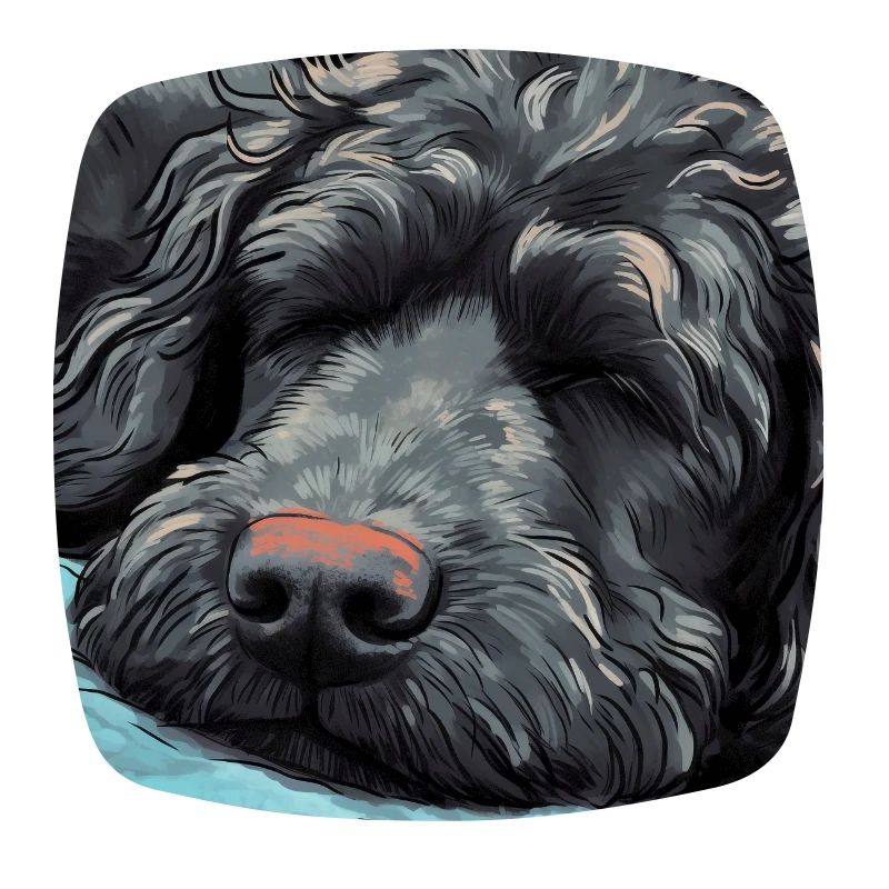 Sleeping Black Golden Doodle