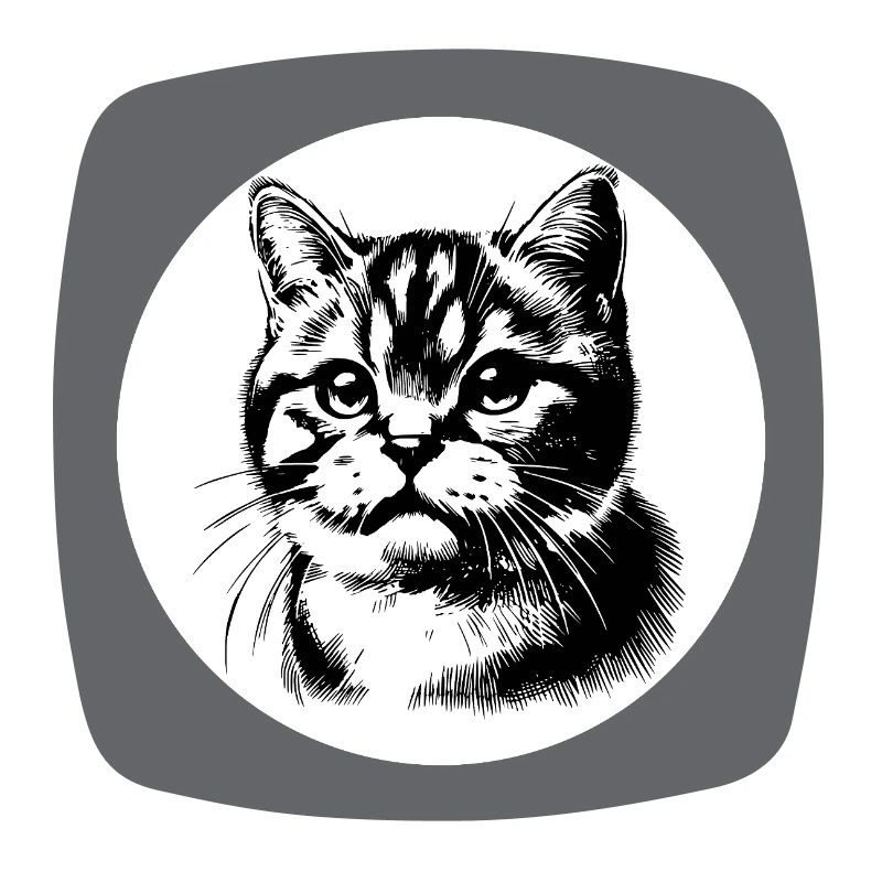 Dessin au trait de portrait de chat mignon