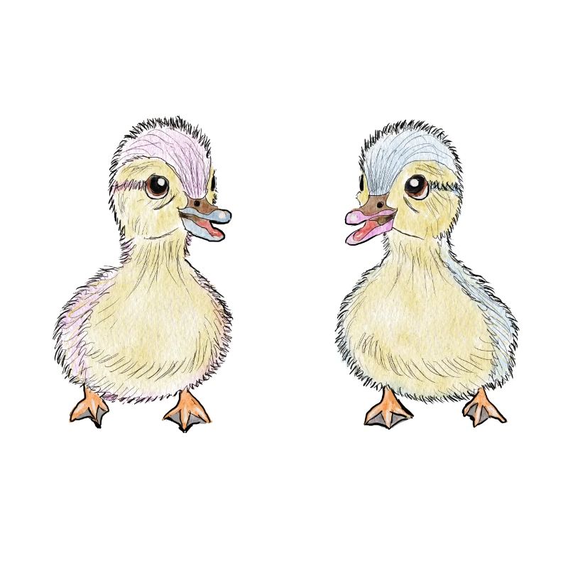 Deux petits canards