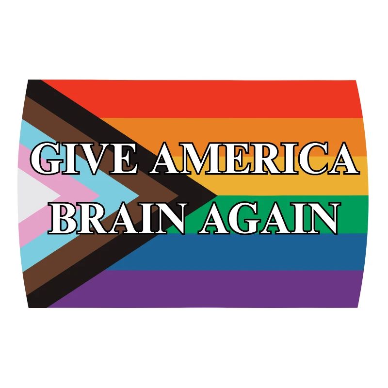 Give America Brain Again Progress Pride Flag