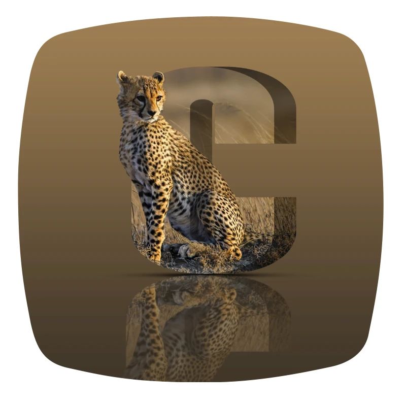 Wildcat in a 3D Letter C