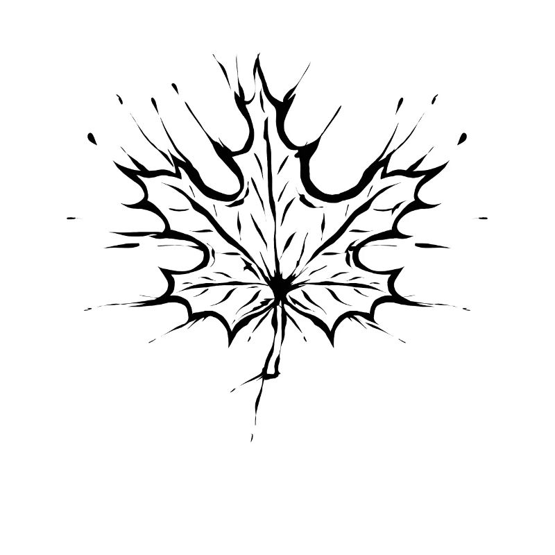 Maple Leaf