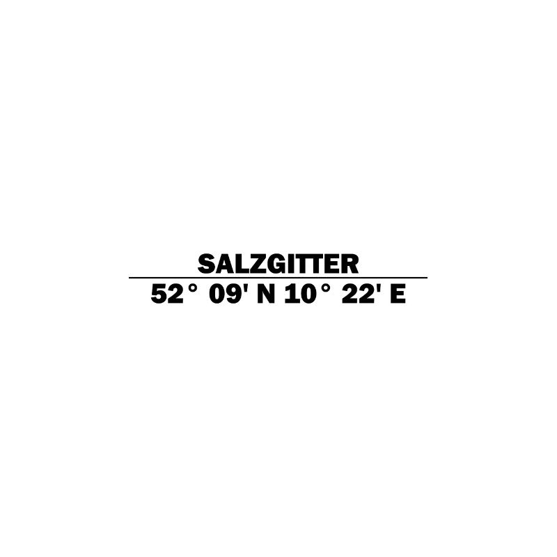 Salzgitter coordinates