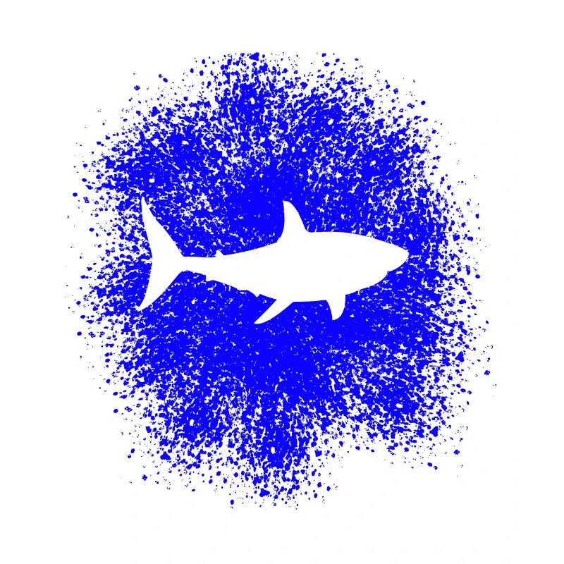 Requin requin dans la mer