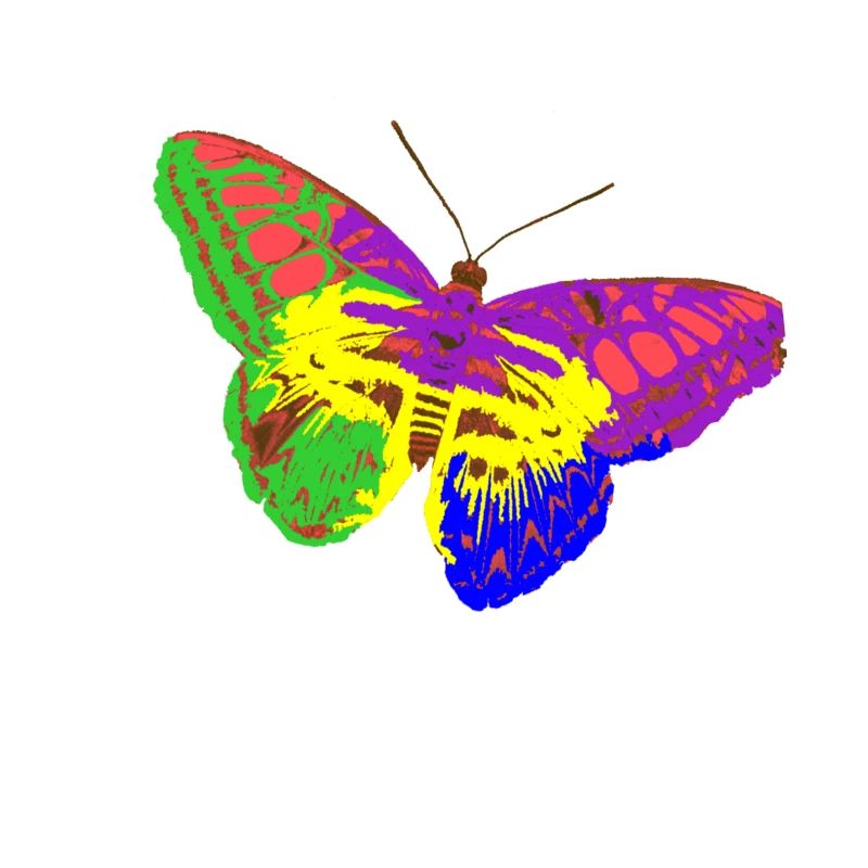 Regenbogen-Schmetterling