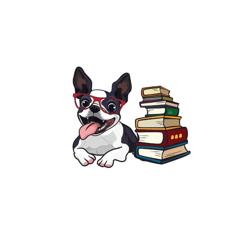 Boston Terrier