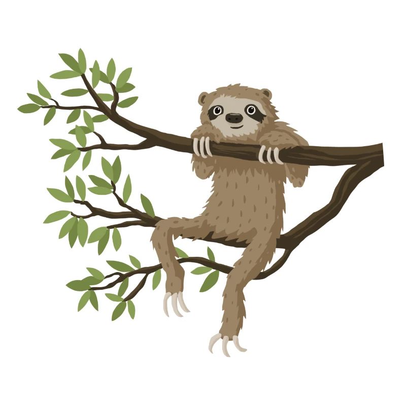 Sloth hangs out