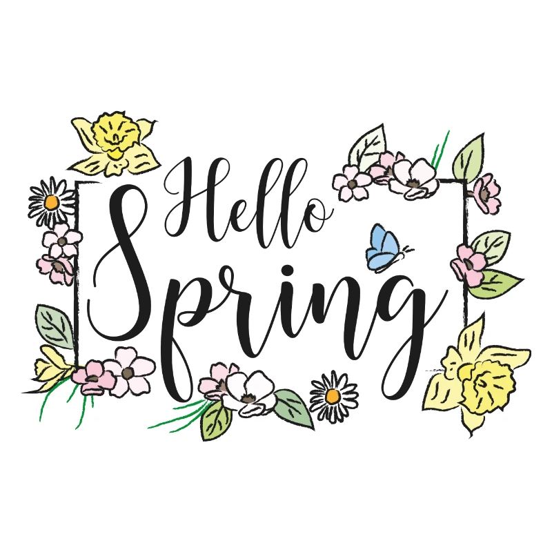 Bonjour Spring