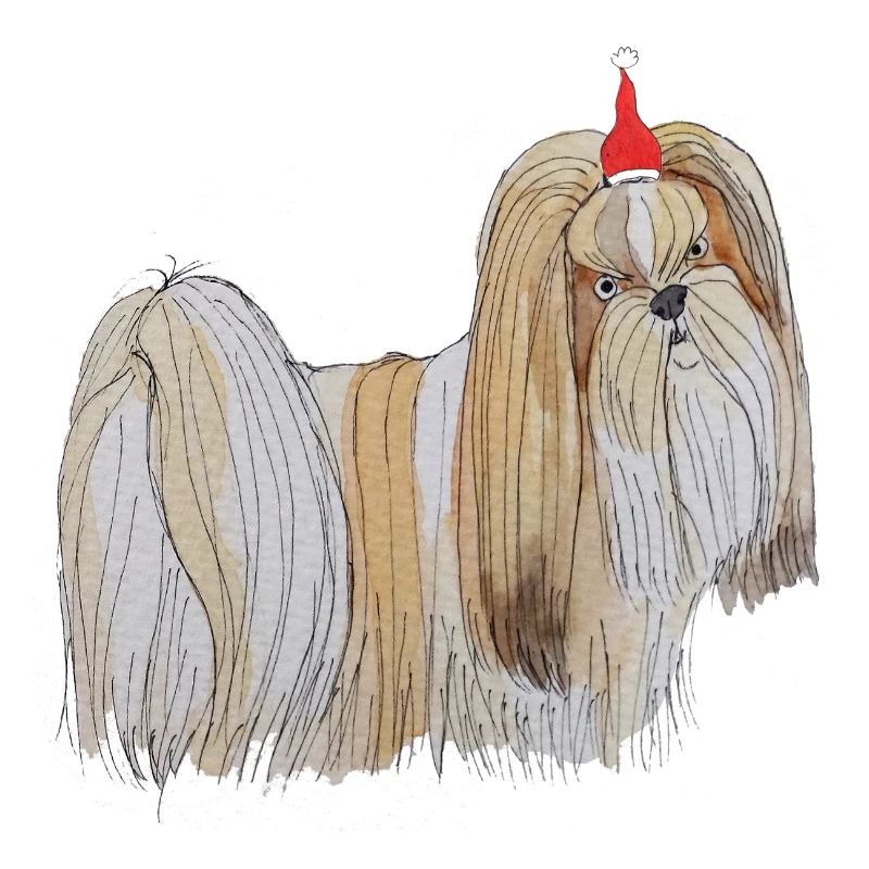 Noël à Lhassa Apso